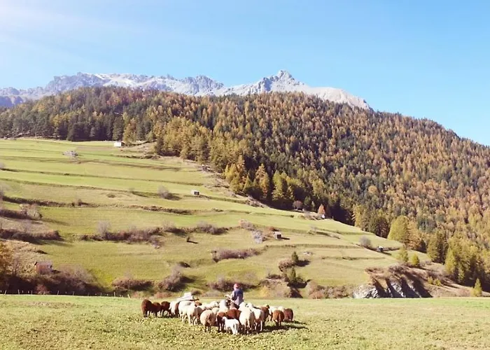 Abenteuerhof Appartamento