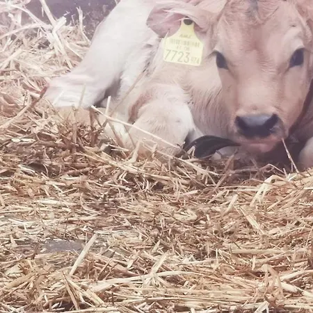 Abenteuerhof Nauders