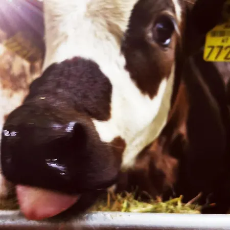 Abenteuerhof Apartman *