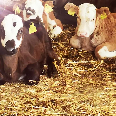 Apartament Abenteuerhof *