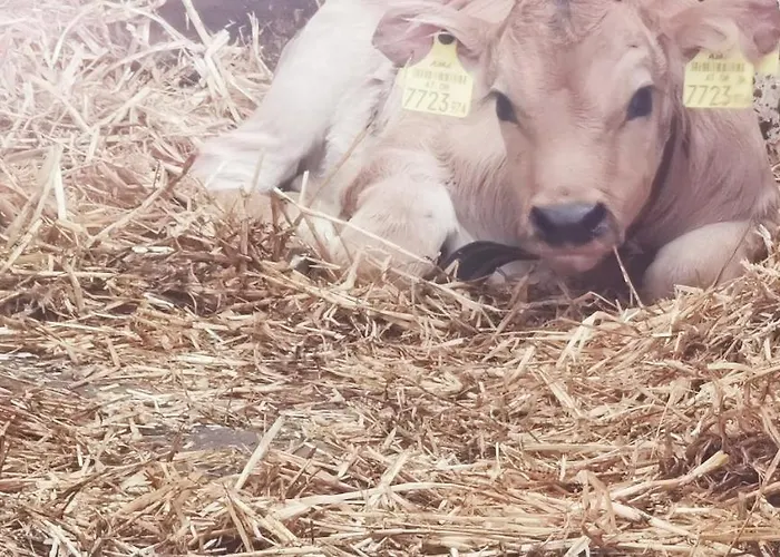 Abenteuerhof 瑙德斯